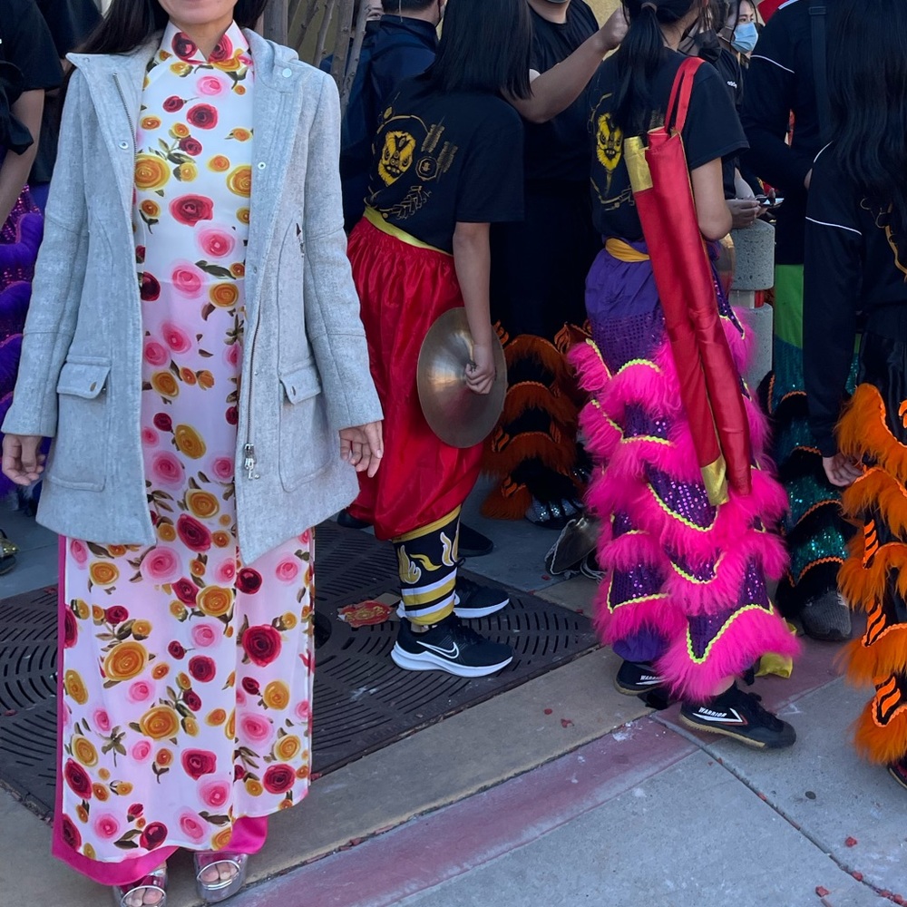 VIETNAMESE | Aó Dài Traditional Dress Hot Pink Yellow Green High Neck Collar XS